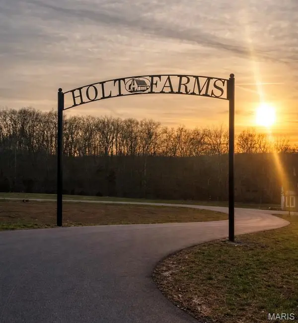 Lot 29 Holt Farm DR, Wentzville, MO 63385