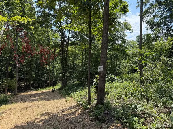 #407 Madison 410, Fredericktown, MO 63645