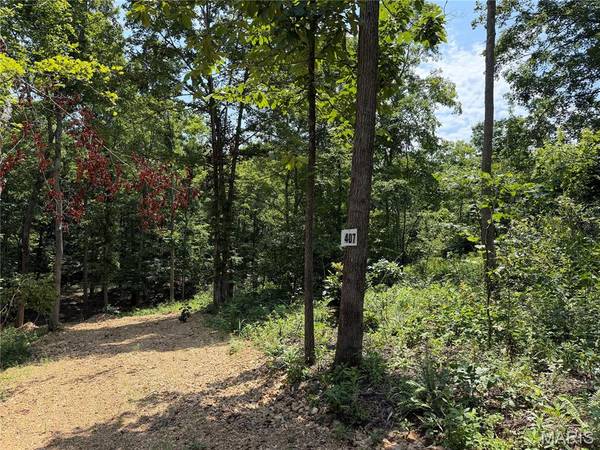 #407 Madison 410, Fredericktown, MO 63645
