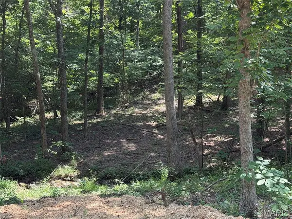 #407 Madison 410, Fredericktown, MO 63645