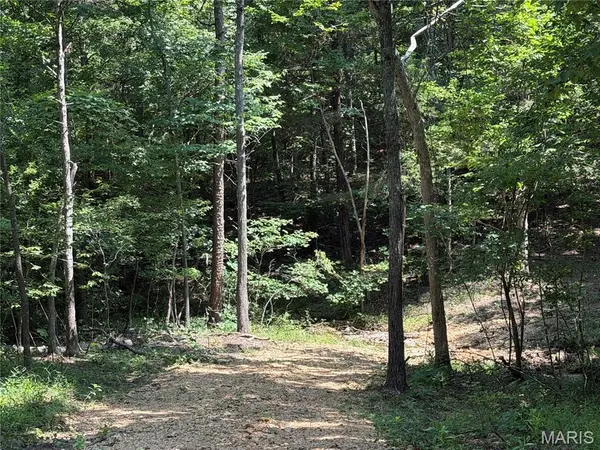 #407 Madison 410, Fredericktown, MO 63645