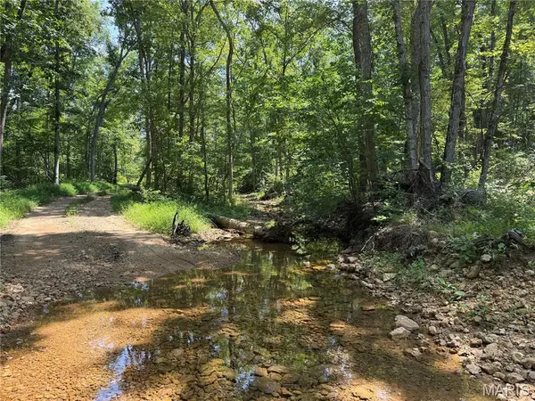 #403 Madison 410, Fredericktown, MO 63645