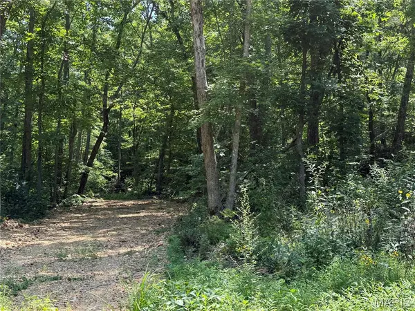 #403 Madison 410, Fredericktown, MO 63645