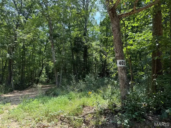 #402 Madison 410, Fredericktown, MO 63645