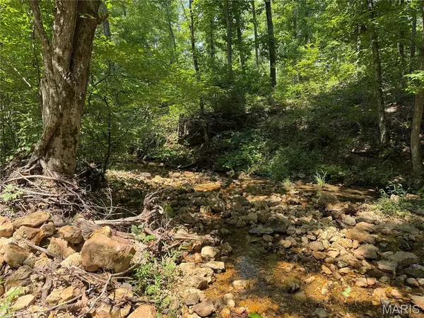 #402 Madison 410, Fredericktown, MO 63645