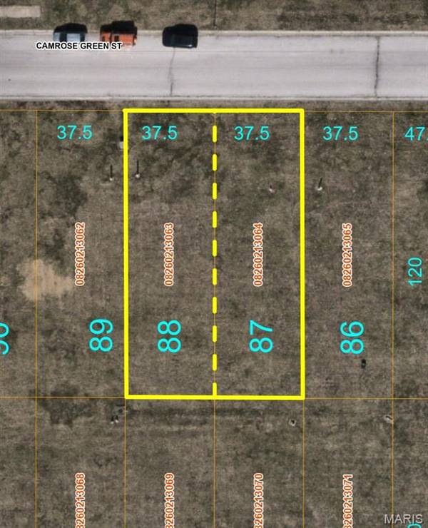 2060 Camrose Green ST, Belleville, IL 62220