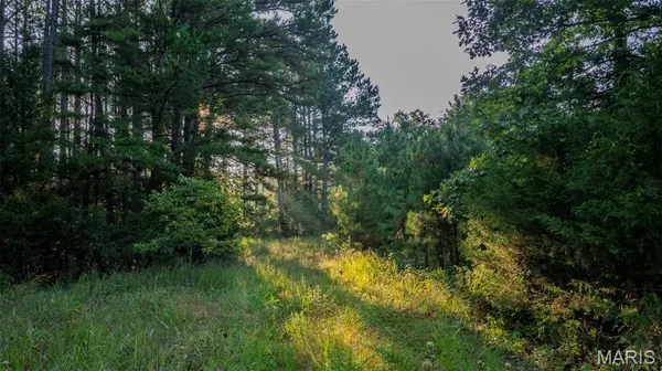11620 Slaughter RD, Licking, MO 65542