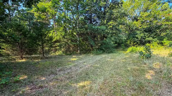 11620 Slaughter RD, Licking, MO 65542