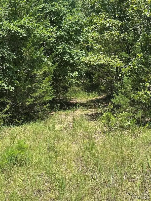 TBD HWY 14, Drury, MO 65638