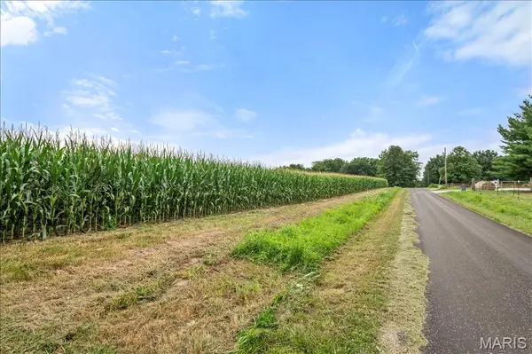 3252 Stayton Dairy Rd., Waverly, IL 62692
