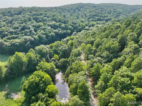 TBD County Road 6670, Salem, MO 65560
