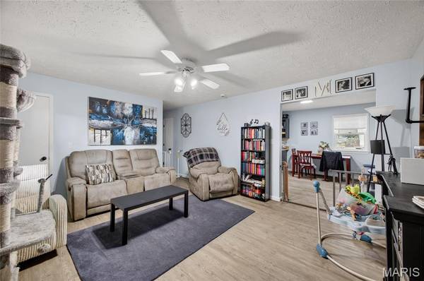 617 Willow LN, Lebanon, MO 65536