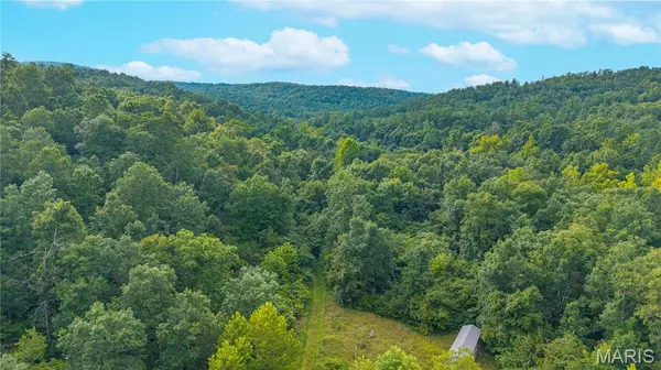 160 County Road 203, Annapolis, MO 63620