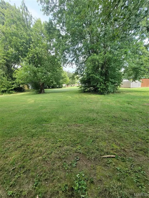 TBD S Walnut ST, Litchfield, IL 62056