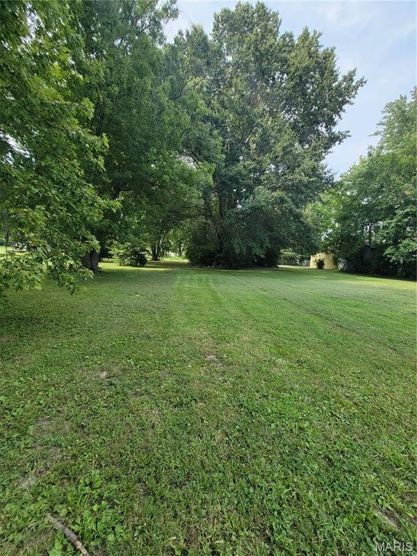 TBD S Walnut ST, Litchfield, IL 62056