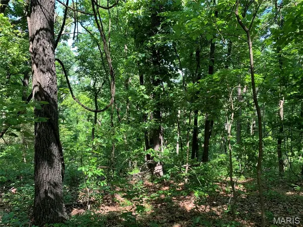 0 PCR 842, St Mary, MO 63673