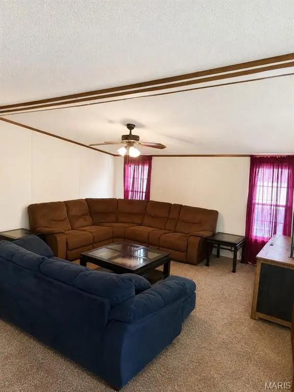 3819 Primo RD, Festus, MO 63028