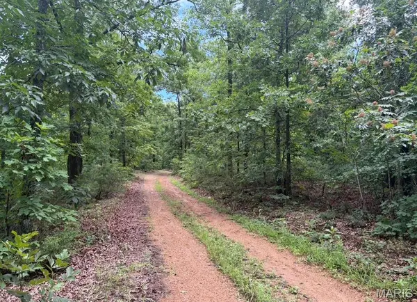 0 County Road 447, Redford, MO 63665