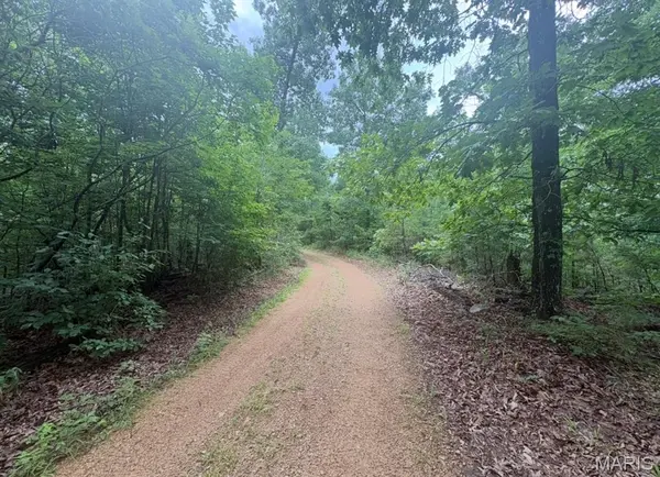 0 County Road 447, Redford, MO 63665