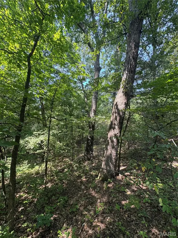 24.67 +/- AC Krull RD, Hermann, MO 65041