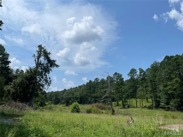 0 CR 345, Piedmont, MO 63636