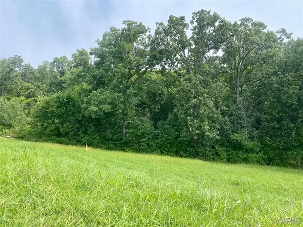 132 Rainbow Lake DR, Villa Ridge, MO 63089