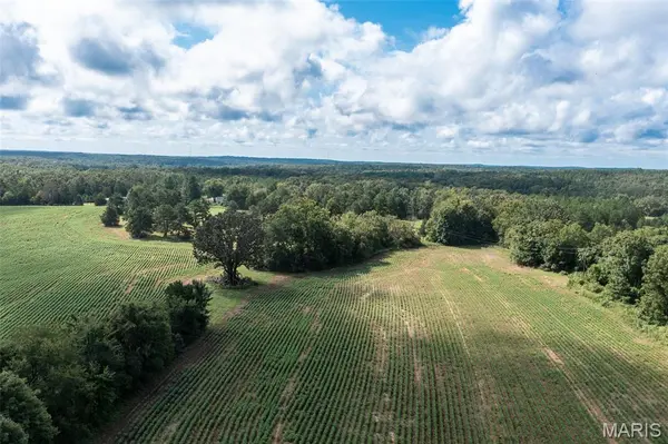 Tract 1 BCR 810, Glen Allen, MO 63645