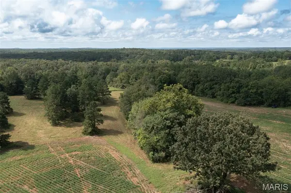 Tract 1 BCR 810, Glen Allen, MO 63645