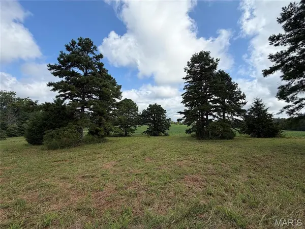 Tract 1 BCR 810, Glen Allen, MO 63645
