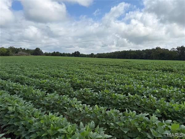 Tract 2 BCR 810, Glen Allen, MO 63751