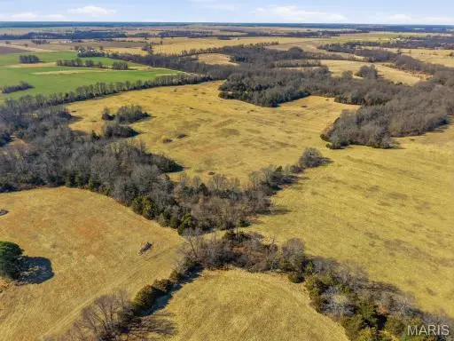 63 ACRES AR 935 & Highway FF, Mexico, MO 65265