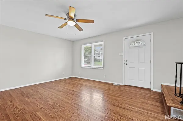 4552 Ray AVE, St Louis, MO 63116