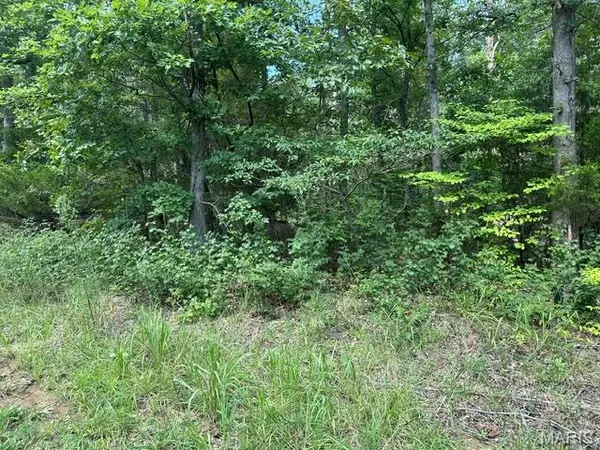 483 Buzzard Rock RD, Farmington, MO 63640