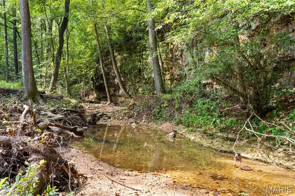 0 long Spring RD, Steelville, MO 65565