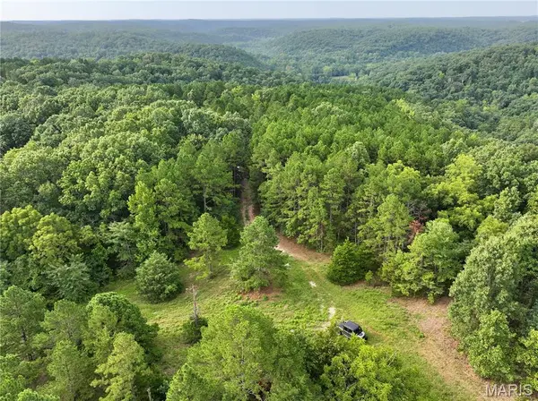 TBD County Road 6670 T8, Salem, MO 65560
