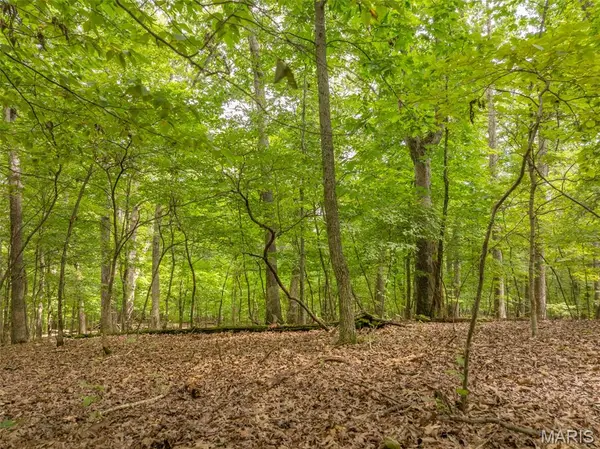 2531 Alpine Trails DR, Innsbrook, MO 63390