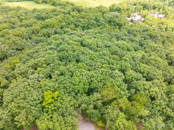 2531 Alpine Trails DR, Innsbrook, MO 63390
