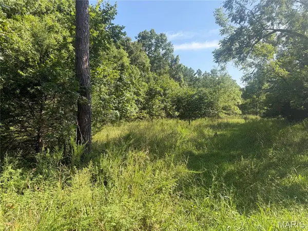 000 Aspen Road, Richwoods, MO 63071