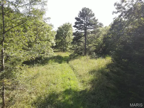 000 Aspen Road, Richwoods, MO 63071