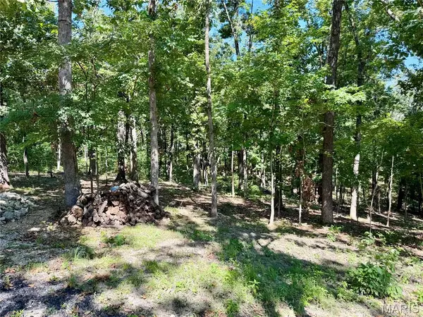 1002 Port Perry DR, Perryville, MO 63775