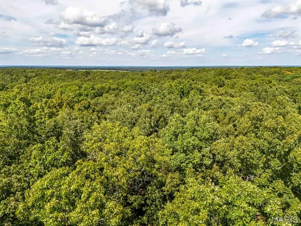 00 Fire Tower RD, Steelville, MO 65565