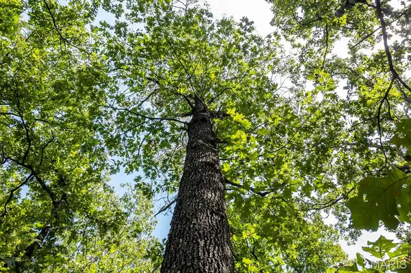 00 Fire Tower RD, Steelville, MO 65565