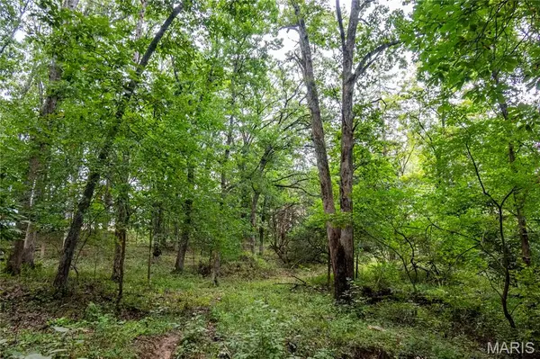 00 293 County RD, Kahoka, MO 63445