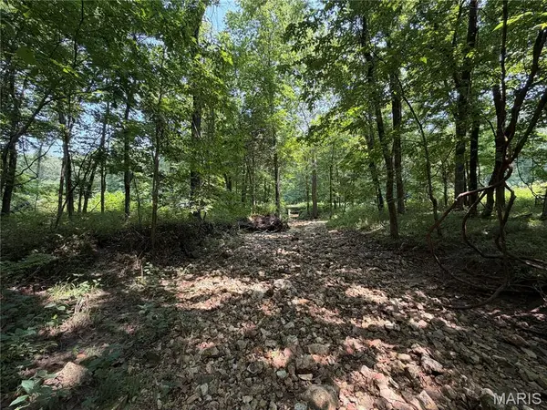 171 Highway Jj, New Florence, MO 63363
