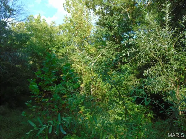 0 Robin, Doniphan, MO 63935
