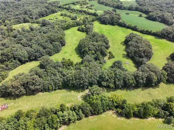 Tract 1 Sweetgum Ln, Millersville, MO 63766