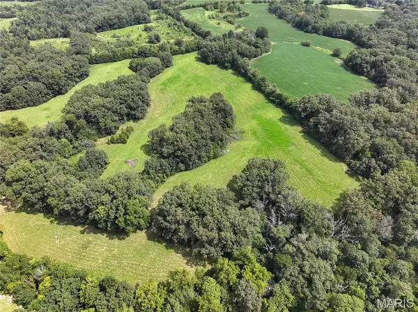 Tract 1 Sweetgum Ln, Millersville, MO 63766
