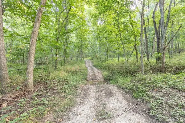 54893 Kingsville LN, New London, MO 63459