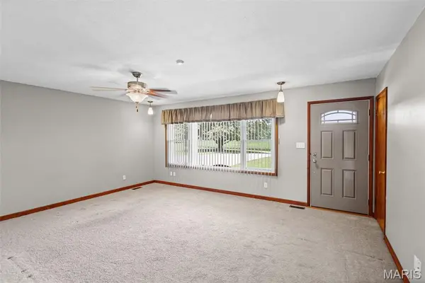 13906 Klaus Lake RD, Highland, IL 62249