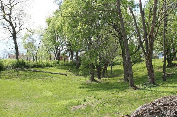 0 Virginia Street Lot 13, St Clair, MO 63077